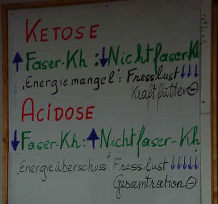 wpe1F.jpg (16306 Byte)